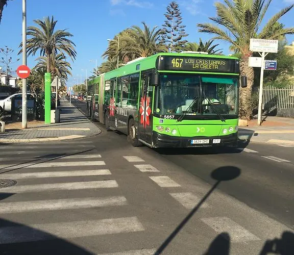 Geranios طوستا ديل سيلونثيو